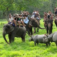 Sauraha Operators Shift from Elephant Safaris to Bush Walks